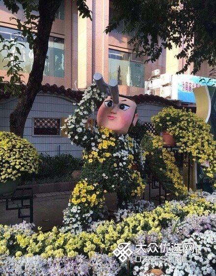 这样的菊花葫芦娃 主要得看气质