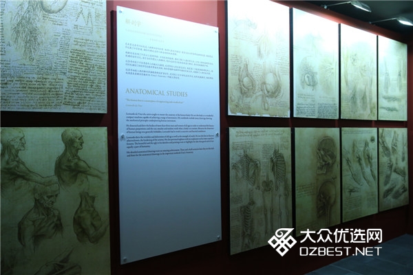 天才达芬奇世界巡回大展 寻觅达芬奇的艺术痕迹