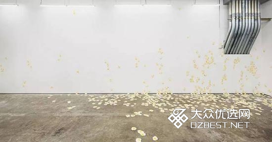 论鸡蛋的艺术价值:一个画廊里的7000个煎蛋