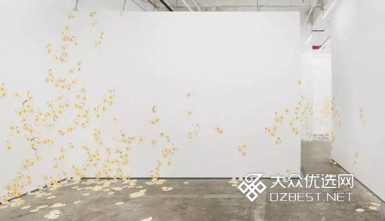 论鸡蛋的艺术价值:一个画廊里的7000个煎蛋