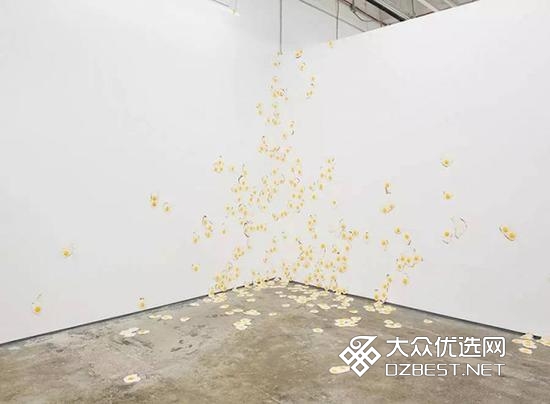 论鸡蛋的艺术价值:一个画廊里的7000个煎蛋