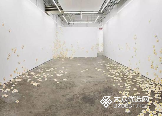 论鸡蛋的艺术价值:一个画廊里的7000个煎蛋