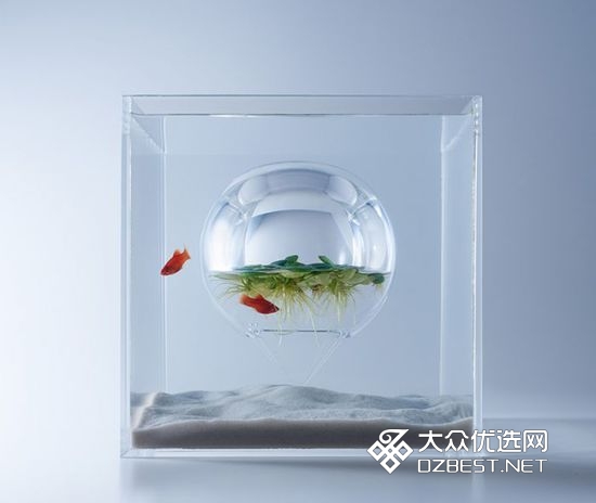 日本设计师将空气塞入水族箱 画面充满了诗意