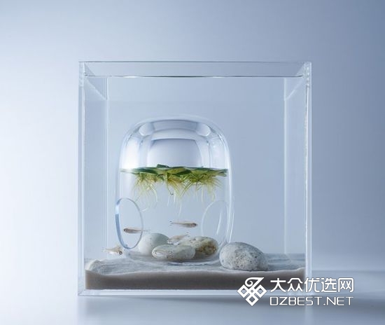 日本设计师将空气塞入水族箱 画面充满了诗意