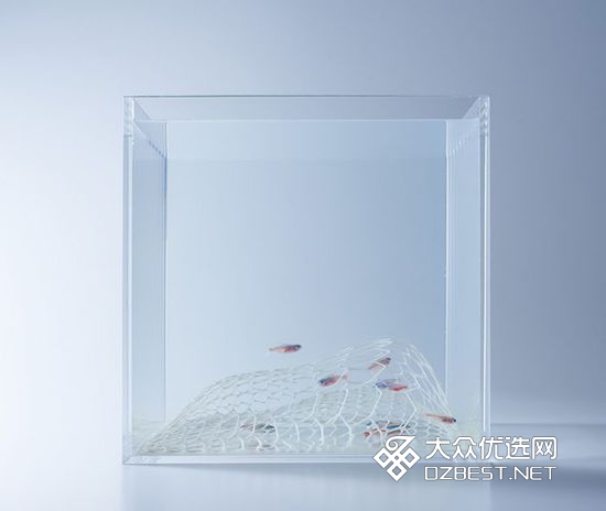 日本设计师将空气塞入水族箱 画面充满了诗意