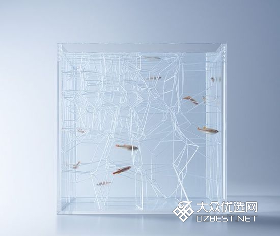 日本设计师将空气塞入水族箱 画面充满了诗意