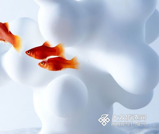 日本设计师将空气塞入水族箱 画面充满了诗意