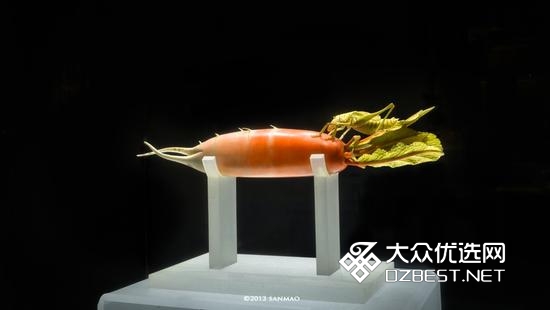 河南博物馆的染色大萝卜 这才叫栩栩如生