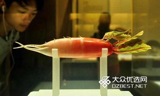 河南博物馆的染色大萝卜 这才叫栩栩如生