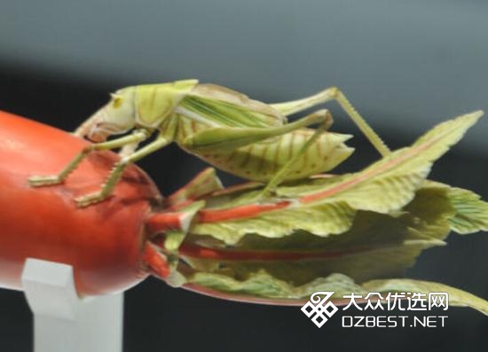 河南博物馆的染色大萝卜 这才叫栩栩如生