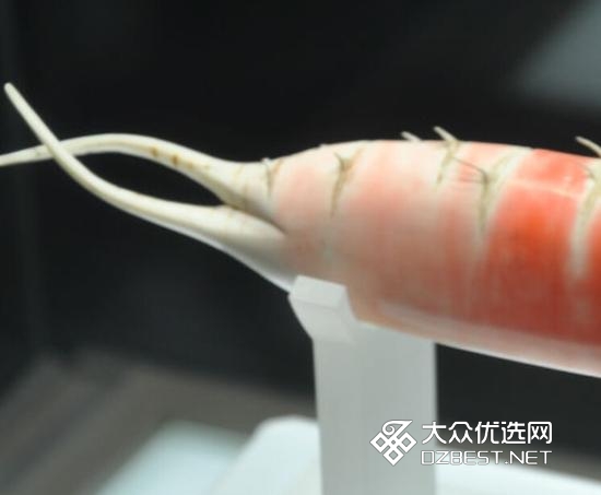 河南博物馆的染色大萝卜 这才叫栩栩如生